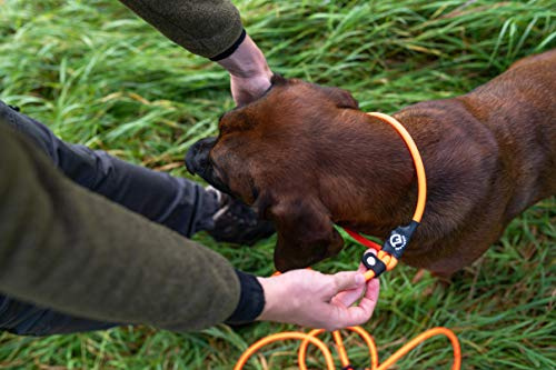 Farm-Land Hundeleine Jagdleine Lautlos Orange Rund 2,8m für Hunde