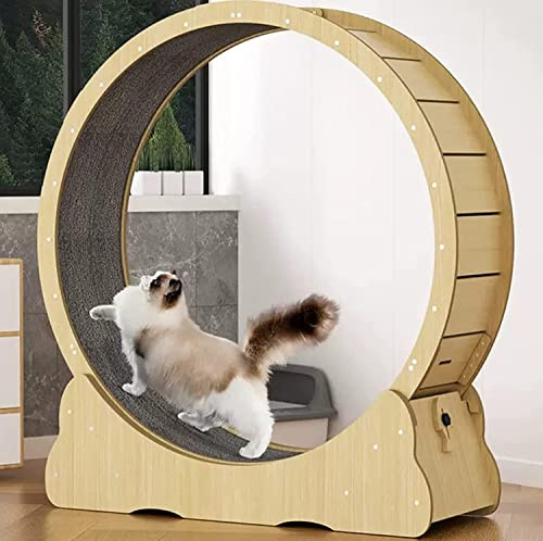 KFGISD, Katzenlaufband for Hauskatzen, schwarzes Katzenlaufrad-Trainingsgerät, Katzenkratzbrett/Krabbelregal, for die meisten Katzen,Laufband für Haustiere