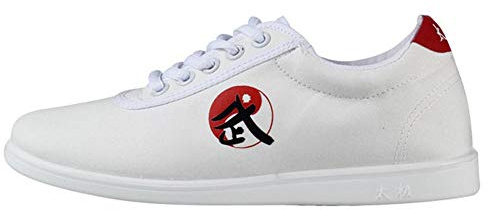 MENG Unisexe Chaussons Chaussures De Toile Chinois De Tai Chi Chuan Et Kung Fu Taekwondo (Color : White, Size : 42)
