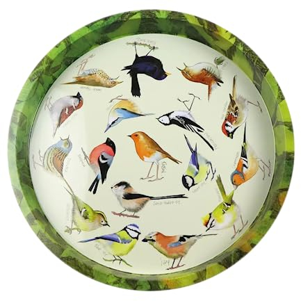 Colourful Round Tin Tea/Drinks Tray - British GARDEN BIRDS Design - 32 cm