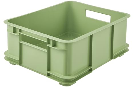 keeeper cassetta di trasporto con maniglie di trasporto, Euro-Box L, 43 x 35 x 17,5 cm, Bruno Eco Line, Verde (Eco Grass Green)