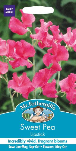 Mr Fothergill's 16926 Sweet Pea Lipstick, Pink