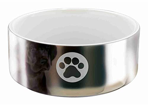 Trixie - Ciotola in ceramica per cani, 0,3 l, colore: Argento/Bianco