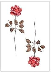 5 pcs Chica Lindo Tatuajes Temporales Sueño Duradero Impermeable Carpa Flor Pequeña Simulación Fresca Tatuaje Pegatina