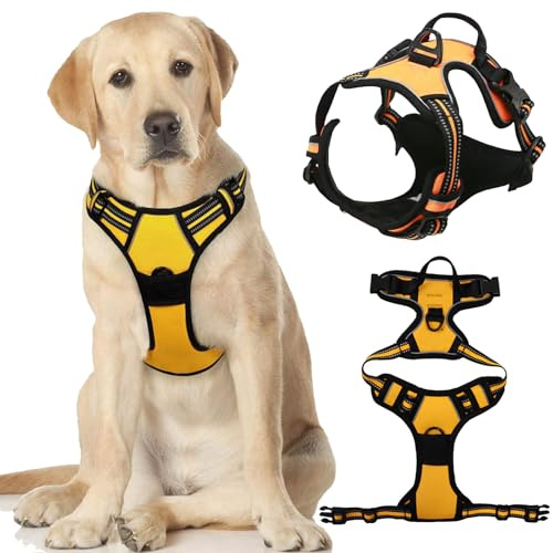 HTTDSLF Hundegeschirr Grosse Hunde, Anti Zug Hundegeschirr, Geschirr Hund Groß mit Reflexstreifen & Kontrolle, Verstellbar und Einstellbar, Brustgeschirr Hund für Kleine und Mittlere Hunde (Orange, M)