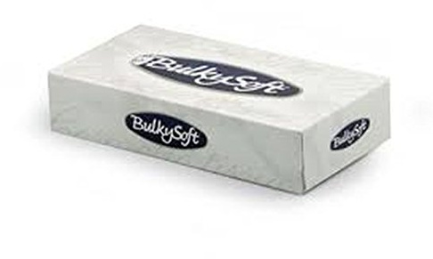 Fazzoletti carta bianco – cartone di 40 scatole di 100 fazzoletti – po