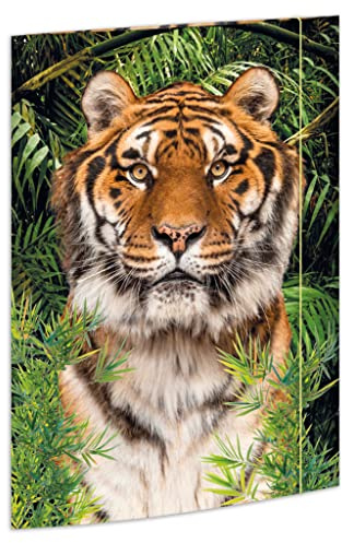 RNKVERLAG 45367 – Ritmapp Tiger 310 x 440 mm, dokumentmapp för DIN A3, med gummistängning, 1 st