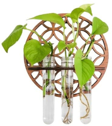 Rundes hohles geschnitztes hängendes Holzregal, Pflanze Hängendes Holzregal Vase, Hängende Propagation Station Wandvase Reagenzglas Für Innendekoration Wanddekoration Wohnzimmer (Rund)