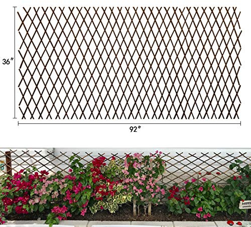 Expandable Garden Trellis Plant Support Willow Lattice Fence Panel for Climbing Plants Vine Ivy Rose Cucumbers Clematis 36X92 Inch