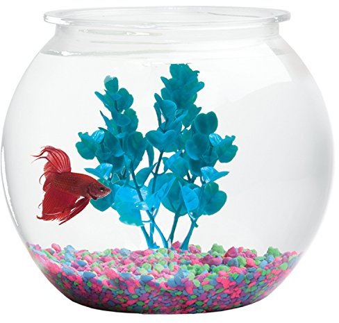Aquatic Wonder 1 Gallon Fish Bowl: Round Crystal Clear Plastic is Break-Resistant and Light Weight. Ideal for Betta Fish Aquarium, Home décor and Party Drinks
