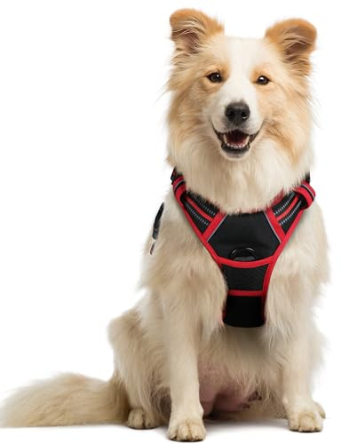 rabbitgoo Harnais Chien Anti Traction, Arnet pour Chiens avec Poignée Contrôl, Facile à Mettre, Gilet Réfléchissant Réglable avec Attache Devant, Harnais pour Chien Moyen Grand, Noir et Rouge, M
