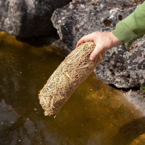 Plant Theory 1 x Pack Pond Clear Barley Straw Algae Cleaning for Ponds Pond Plants