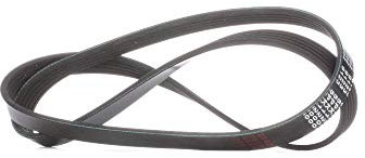 FEBI BILSTEIN Cinghia Poly-V 28862