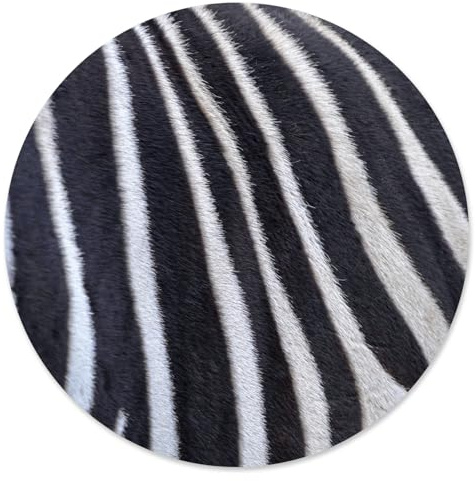younikat Alfombrilla de ratón con diseño de cebra, diámetro de 22 cm, redonda, diseño de animales, alfombrilla para ratón para oficina, juegos, plástico, lavable, antideslizante, fina, dv809
