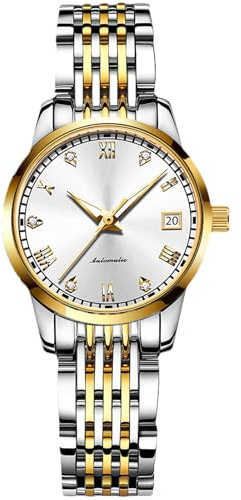 RORIOS Femme Automatique Remontoir Montre Lumineux Chiffres Romains Montre Bracelet en Acier Inoxydable Mode Etanche Mécanique Montre, Argent A, Bracelet