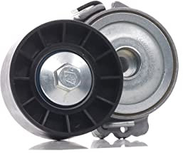 RIDEX 310T0510 Polea tensora correa poli V compatible con FORD Galaxy Mk2 MPV WA6 Focus C-Max DM2, FIAT DUCATO Caja/Chasis 244 DUCATO Caja/Chasis 230 DUCATO Furgón 244 DUCATO Autobús 244, Z