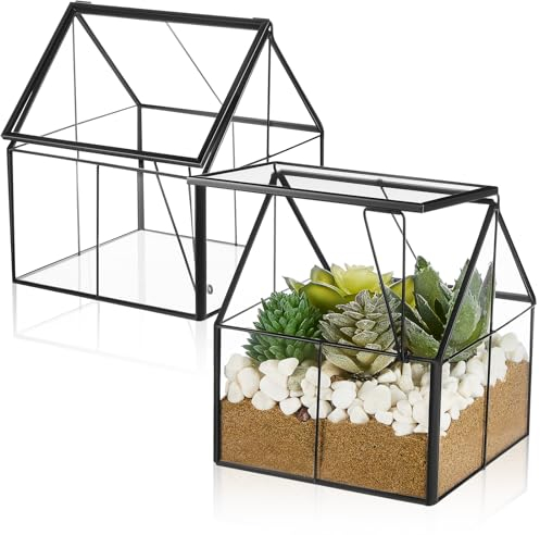 Mini-Glas-Terrarium-Pflanzgefäß mit Deckel, 12,7 x 10,9 x 10,9 cm, kleines Gewächshaus, Terrarium, Glasbehälter, Topf, Tischplatte, Sukkulenten, kleine Kakteen, Luftpflanze, Übertopf für Innenbereich