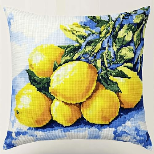 Henypt Kit de Almohadones con Cierre de Gancho Patrón de fruta Cojines para Bordar a Mano 17x17 Inch 3D Bordado de Bricolaje Cuadrado Funda de Cojín Decoración para Principiantes, Adultos