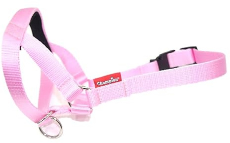 Hundehalfter/Trainings-Halsband, Auswahl an Farben
