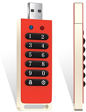 INNPLUS Secure Flash Drive 256-bit, 64GB Encrypted USB 3.0 Flash Drive, Password Protected, Compatible for MAC/Windows/Linux/Embedded System - Orange