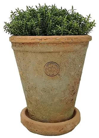Terracotta Plant Pot with Saucer - Long Tom, Rustic Mediterranean Garden Succulent Planter, Tall Terracotta Garden Herb, Bulb, Crocus, Flower Pot with Dish