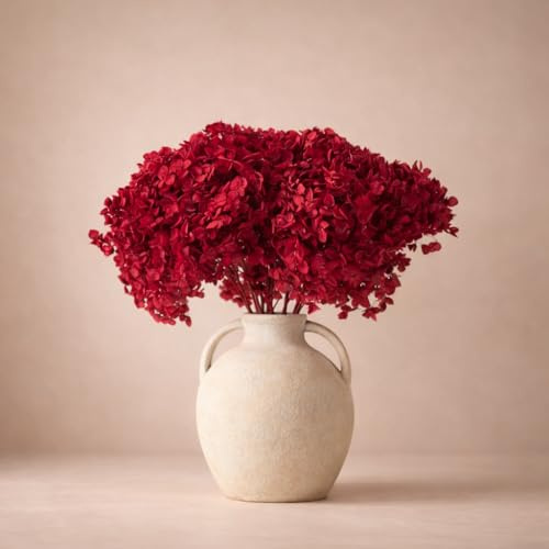 Flores SOLIDARIAS - Flores Preservadas - Ramos de Flores Preservadas Naturales - Hortensias Preservadas - Regalo día de la Madre - Regalo Aniversario, Regalos San Valentín - Envio 24 h - Rojo