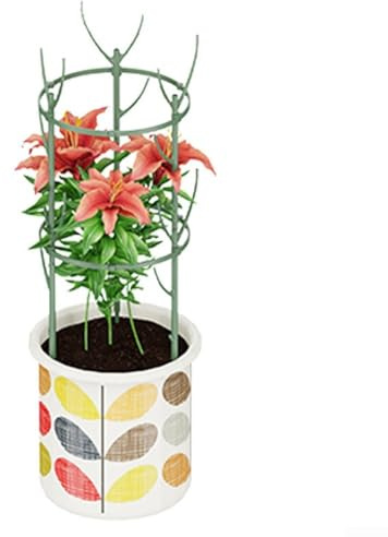 Piquets de support empilables en plastique pour Monstera avec insertion sécurisée du sol pour plantes en pot d'intérieur et parterres de fleurs d'extérieur (5 poteaux)