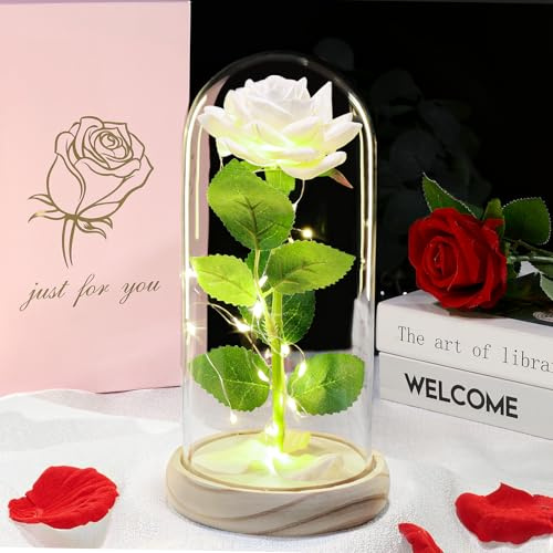 DEEMEI Mothers Day Rose Gifts for Mum, Mother's Day Eternal Rose Flower Birthday Gifts for Mum Wife Girlfriend Galaxy Crystal Rose Light Up Flower In Glass Dome for Mothersday Anniversary Presents
