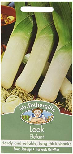 Mr Fothergill's 11005 Leek Elefant