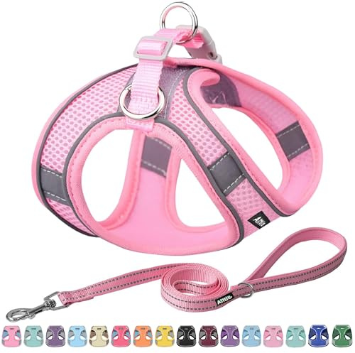 AIITLE No Pull Schritt in Hundegeschirr und Leine Set, Reines Rosa M | Escape Proof Weste Geschirre mit reflektierenden Bändern, einstellbare Haustier Outdoor-Geschirre für mittlere Hunde