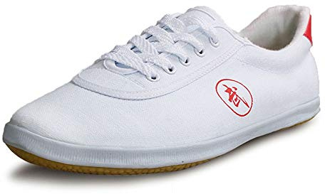 MENG Taekwondo Schuhe atmungsaktiv Kung Fu Tai Chi Sportschuhe for Erwachsene und Kinder (Color : White, Size : 42)