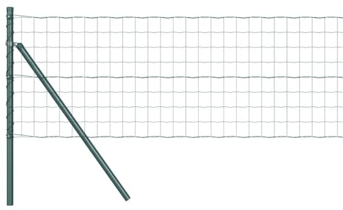 vidaXL Stängsel med stolpe Grön 0,6 x 10 m Stål och PVC, Trädgårds- och terrassstaket, moderna utomhuspaneler, hållbart skydd, stiligt avskildhet, praktisk set