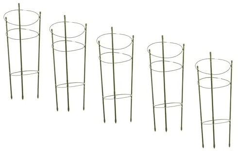5 Stück Rankhilfe 60cm Tomaten Rankhilfe Einstellbar Gurken Rankhilfe für Tomate Salatgurken Spalier Kletterpflanze Blume
