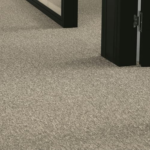 andiamo Teppichboden Meterware Joe - Auslegware Bodenbelag zuschneidbar und einfach zu verlegen - Teppichbelag aus Polypropylen 6mm Gesamthöhe Braun 400 x 300 cm