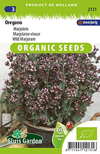 Oregano, Perennial Marjoram - Vegetable Seeds