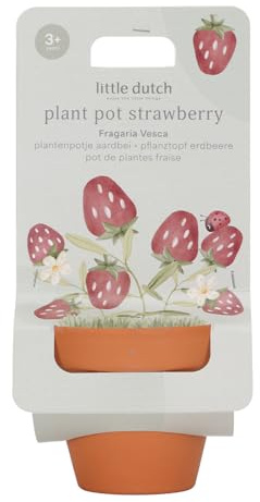 Little Dutch 9131 Pot de fleurs avec graines – Fraise