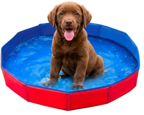 Katzenpool, Hundepool klein für Haustiere, Faltbares Planschbecken zur Abkühlung, Vielseitiger Einsatz im Innen- und Außenbereich, Einfache Aufbewahrung bei begrenztem Platz 50x8 cm