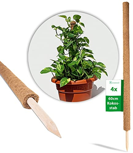 Novatool 4X Kokos Rankstab 60 cm I Ø 45mm I verlängerbar I natürlicher Kokosfaser I Pflanzenstütze Rankhilfe für Zimmerpflanzen blumentopf Stange