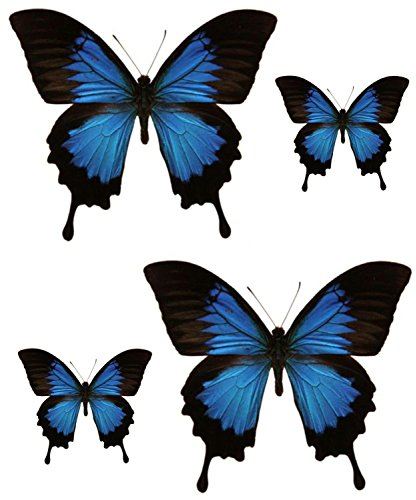 Akachafactory Set 4X Autocollant Sticker Voiture Moto Deco Papillon Bleu Noir frigo