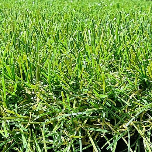 Gazon Synthétique 40mm, 2m de large x 15m de long (soit 30M²)