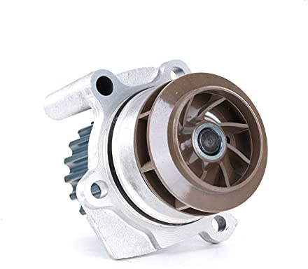INA 538 0060 10 Bomba de agua Número de dientes: 19 Compatible con VW Polo V Hatchback 6R1, 6C1 Golf 6 5K1, AUDI A4 B8 Avant 8K5 A6 C7 Avant 4G5, 4GD, SKODA Fabia II Combi 545