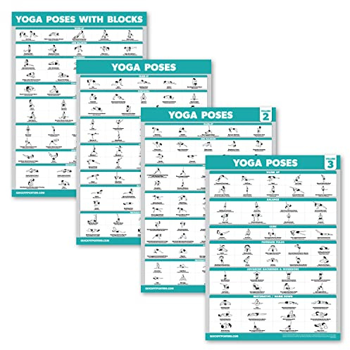 Palace Learning Yoga-Posen Poster Band 1, 2 & 3 + yoga-Positionen mit Yoga-Blöcken – Positionstabellen für Anfänger – Englische und Sanskrit-Namen (45,7 x 61 cm, laminiert)