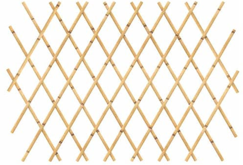 ZXHKZDX Recinto Decorativo del Giardino, Pannelli di Steccato Autoportanti in bambù, Recinzione Portatile da Giardino per La Decorazione del Prato del Patio 60x200 Cm