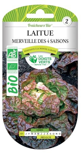 Graines laitue merveille des 4 saisons BIO Les Doigts Verts