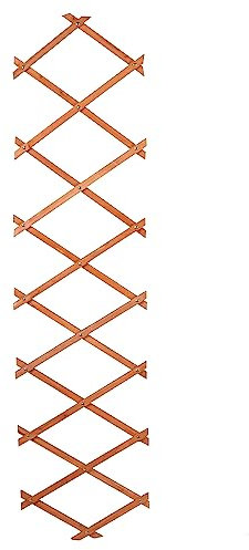Small or Large Expanding Natural Brown Extendable Wooden Trellis Climbing Plants Fence Panel Screening Lattice (One Small 180cm x 30cm)