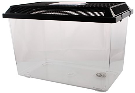 Neu PET-Plaza Kunststoffbox - Faunarium - Kunststoffterrarium - Faunabox - Insektenbox - Insektenterrarium - Box für Futterinsekten (37 x 22 x 25,5cm)