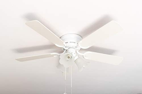 Pepeo GmbH Ventilador de techo Kisa Deluxe 105 cm blanco Ala blanca/arce, incluyendo iluminación e interruptor de arranque