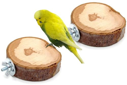 Vogelgaleria® 2X Sitzbrett vom Wildapfel | Handgemachtes Wellensittich Zubehör für den Vogelkäfig oder die Voliere