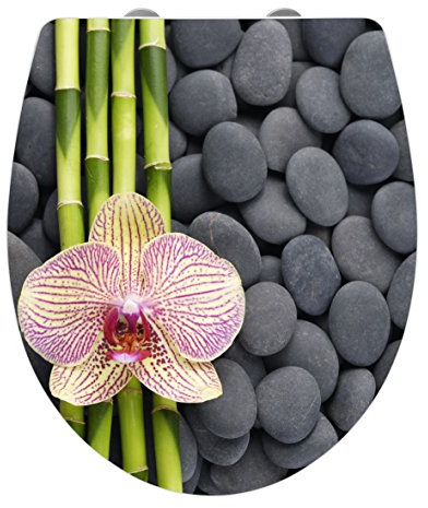 WENKO WC-Sitz Hochglanz Acryl Spa, High Gloss Oberfläche, hygienischer Toilettendeckel mit Absenkautomatik, aus antibakteriellem Duroplast 39 x 45 cm