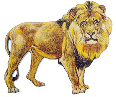 Miniblings lion imprimé safari animaux en bois Broche Afrique King - la main des bijoux de mode I Pin Bouton Pins